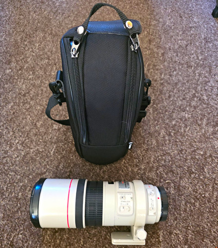 Canon 300mm l is usm - canon,