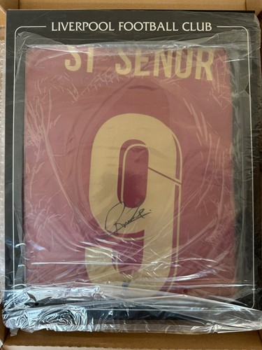 Roberto firmino limited - firmino,