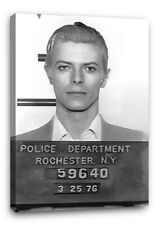 David Bowie BB8 Mugshot CANVAS Wall Art Poster 30"x20" CANVAS