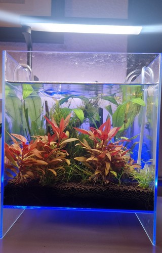 Optiwhite nano cube glass - cube,