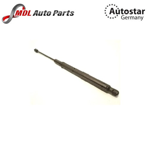 Autostar germany left - autostar, hood