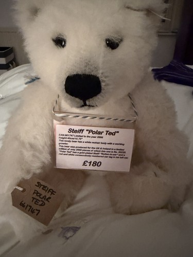 Steiff polar ted 40cm - 40cm, limited