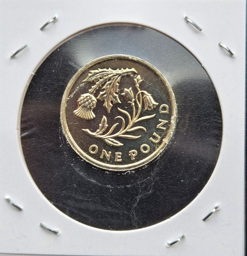 2014 scotland uncirculated - 2014, £1
