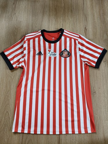Sunderland afc 2017 - 2017/18, bradley