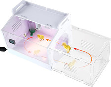 Iarge-Scale Chick Brooder Box