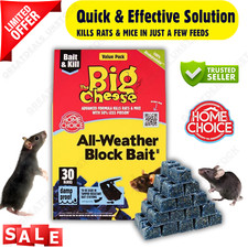 Big cheese professional - cheese, stv