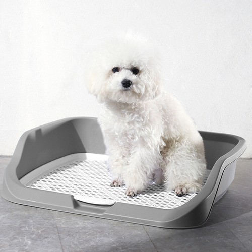 Plastic dog puppy training - plastic,