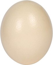 Premium High Quality Blank
