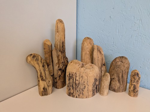 Sculptured driftwood - #73.,