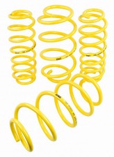 Performance Lowering Springs