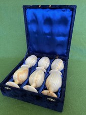 🍷Vintage Marble Onyx Wine