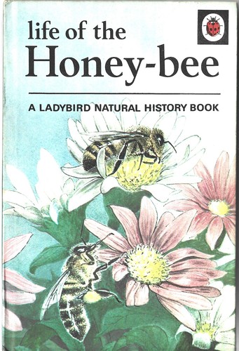 Ladybird life the honey bee - ladybird, honey-bee