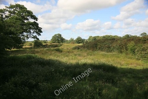 Photo 6x4 pasture land - pasture, by