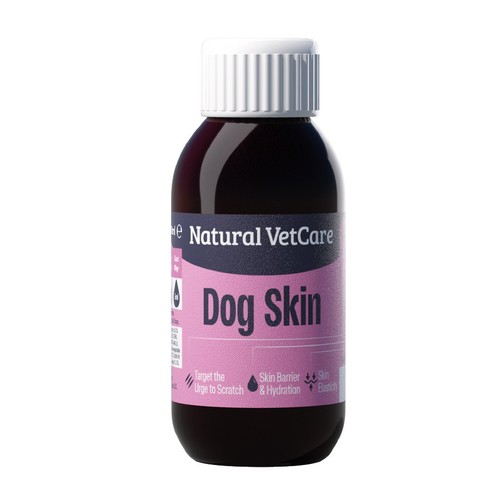 Natural vet care - vet, dog