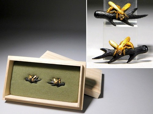 Bee the stag horn rare - on,