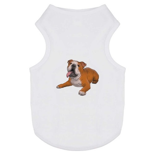 English bull dog pet - pet,