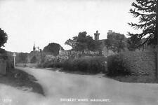 Cln-27 Cousley Wood, Wadhurst, Sussex. Photo