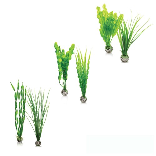 Biorb easy plant - easy, medium