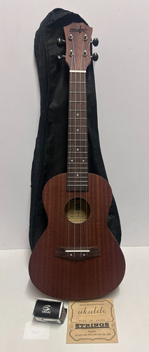 Sheng wooden concert - uk-23,