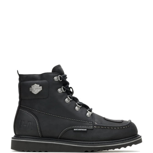 Harley davidson hagerman ce - harley-davidson,