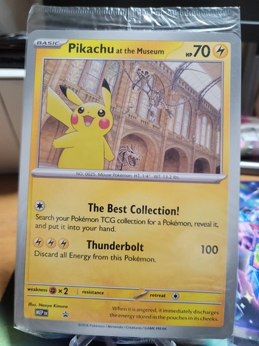 Pokémon tcg pikachu at the - -,