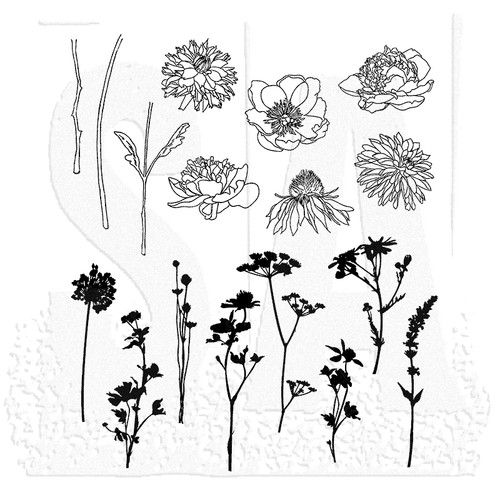 New stampers anonymous tim - new,