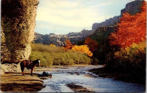 Postcard new mexico - postcard,