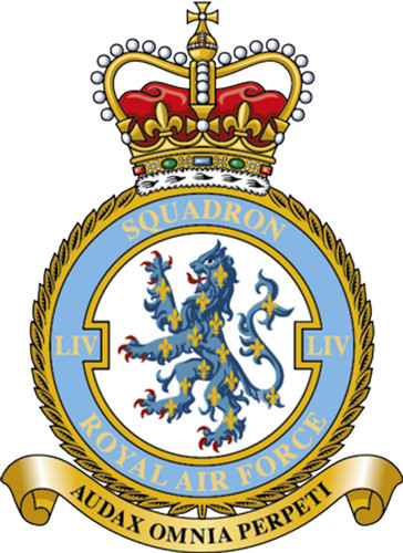 Raf squadron badge metal - raf,
