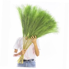 38" 10 Stems Tall Pampas Grass