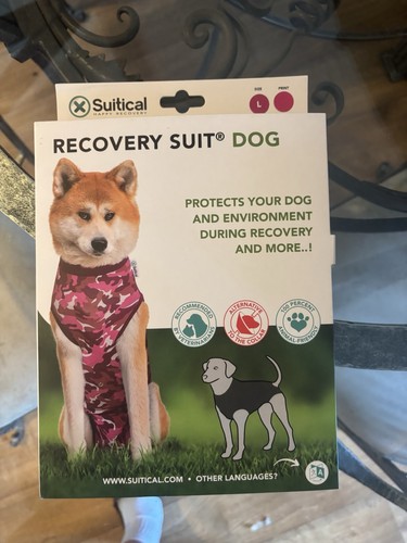 Suitical pink dog - suitical, recovery