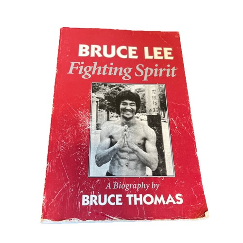 Bruce lee fighting - a, spirit