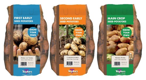 Taylors seed potatoes - taylors,