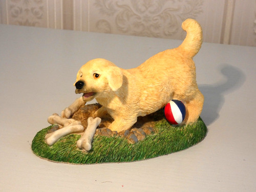 Golden retriever puppy - golden,