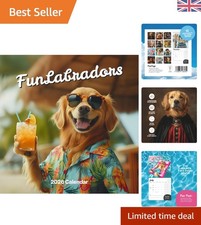 Charming labrador retriever - labrador,