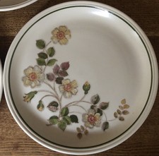 Marks And Spencer Autumn Leaves Dinner Plate