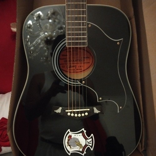 Gibson guitars - gibson,