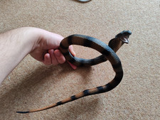 Safari Ltd. Cobra Snake Figure