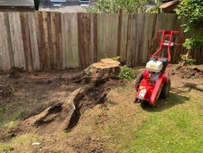 Stump Grinder Leicester