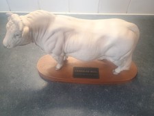 Beswick vintage charolais - charolais, bull