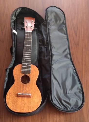 Luna ukulele with tutor - ukulele,