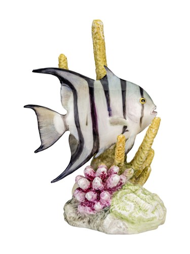 Royal worcester bone china - worcester,