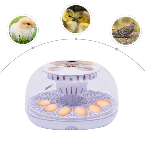 Digital egg incubator - digital, 12-egg