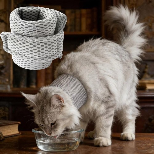 Cat neck brace cover - neck,