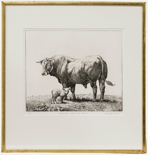 Simon bull framed - bull,