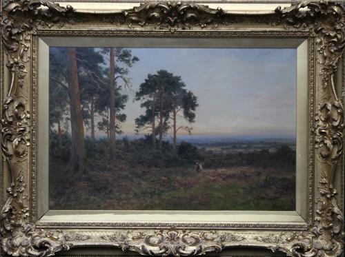 Daniel sherrin british - daniel,