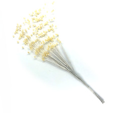 Ivory Pearl Sprig Baby's