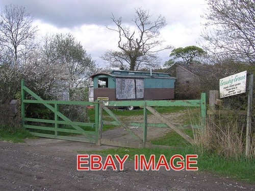 Photo growing green - ,