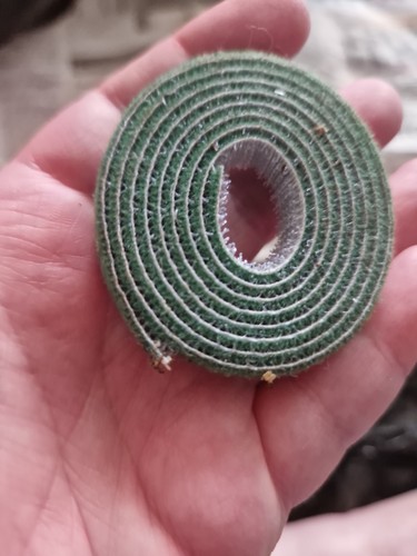 Velcro one wrap plant - velcro, one-wrap
