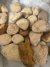 Yowah Nut From Queensland