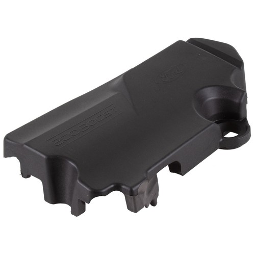 Genuine ford ecoboost foam - ecoboost,